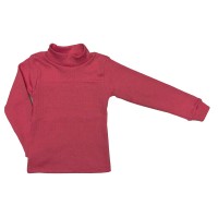 Водолазки, світшоти, гольфи