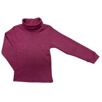 Водолазки, світшоти, гольфи