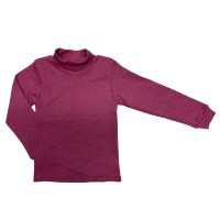 Водолазки, світшоти, гольфи